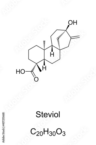 Steviol, chemical formula and skeletal structure. A diterpene, first isolated from the plant Stevia rebaudiana, used as a sweetener and as a sugar substitute. Isolated illustration over white. Vector. photo