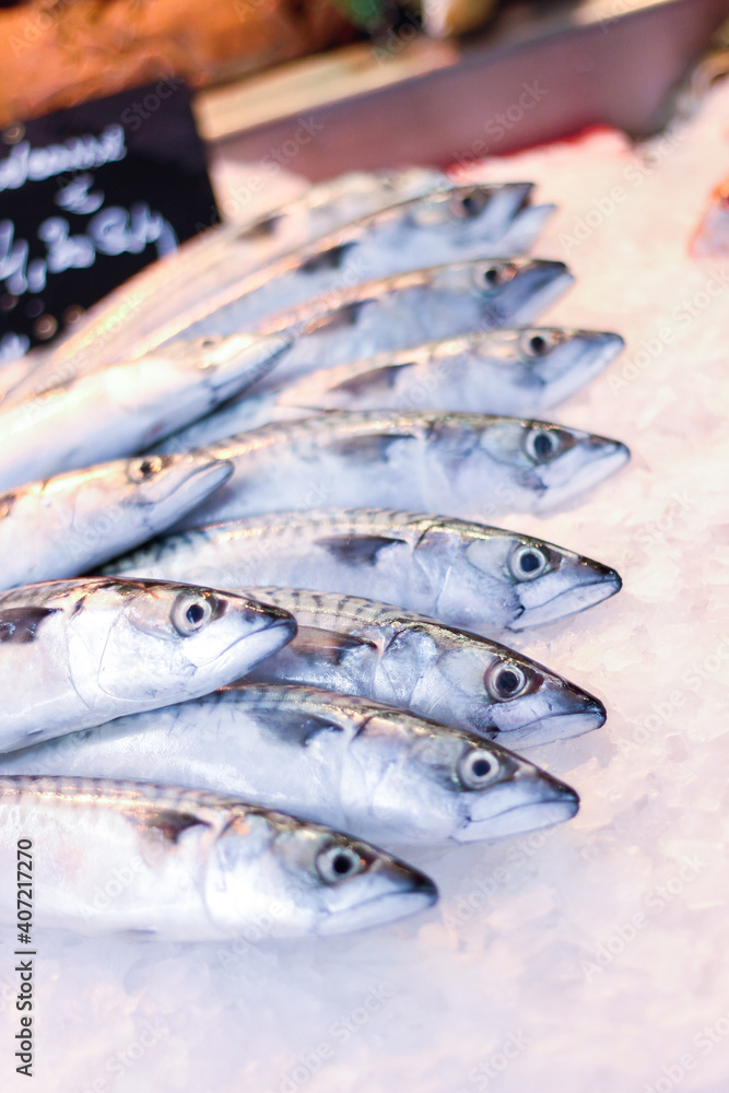 Rang de poissons frais Rang de poissons frais