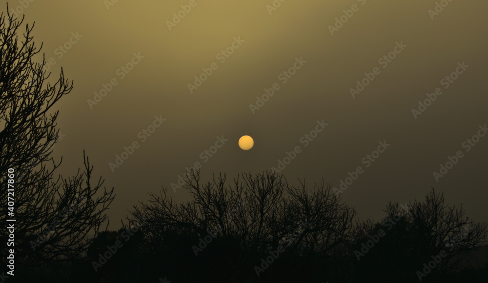 Imagen del Sol atraves de una nube de arena del desierto del sahara en España al atardecer, delante las siluetas oscuras de arboles sin hojas Imagen del Sol atraves de una nube de arena del desierto del sahara en España al atardecer, delante las siluetas oscuras de arboles sin hojas