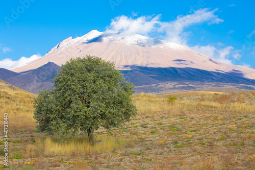 Sultan Marshes Protection Area is within the boundaries of Develi and Yeşilhisar districts of Kayseri province in the Central Anatolia Region. photo