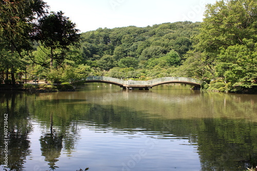 5月、東京都町田市にある薬師池公園の名前の由来である薬師池。
