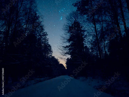 Obraz Night sky with stars road forrest