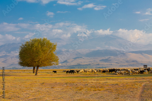 Sultan Marshes Protection Area is within the boundaries of Develi and Yeşilhisar districts of Kayseri province in the Central Anatolia Region. photo