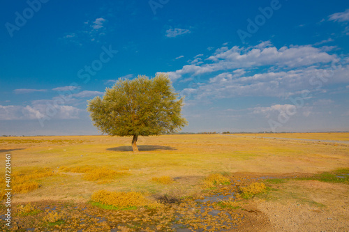 Sultan Marshes Protection Area is within the boundaries of Develi and Yeşilhisar districts of Kayseri province in the Central Anatolia Region. photo