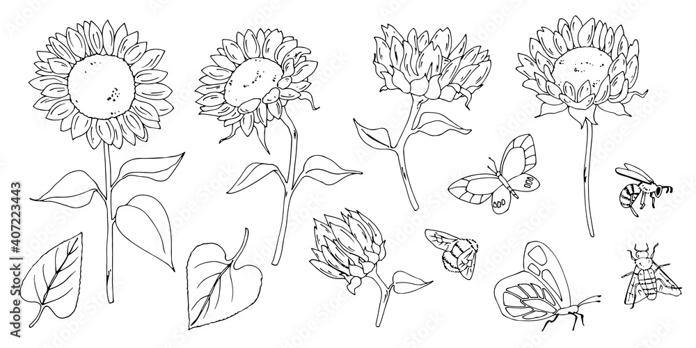 line drawing woman people clipart black woman png face line art hand drawn flower floral sketch sunflower girls digital clipart women
