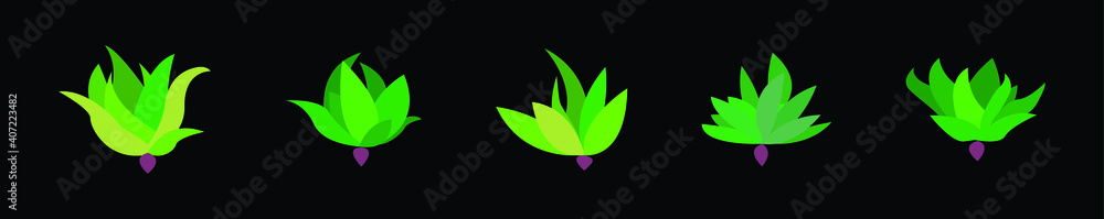 set of maguey cartoon icon design template with various models. vector illustration isolated on black background set of maguey cartoon icon design template with various models. vector illustration isolated on black background