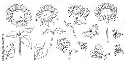 line drawing woman people clipart black woman png face line art hand drawn flower floral sketch sunflower girls digital clipart women