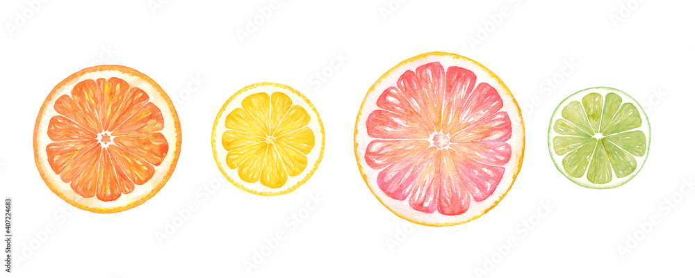 シトラスの輪切りの水彩イラスト オレンジ レモン グレープフルーツ ライムのセット Stock イラスト Adobe Stock