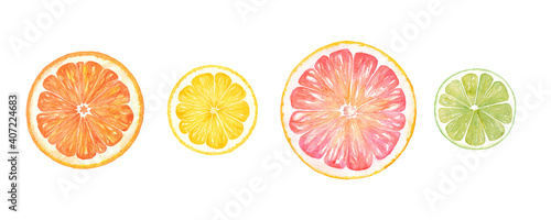 シトラスの輪切りの水彩イラスト。オレンジ、レモン、グレープフルーツ、ライムのセット。
