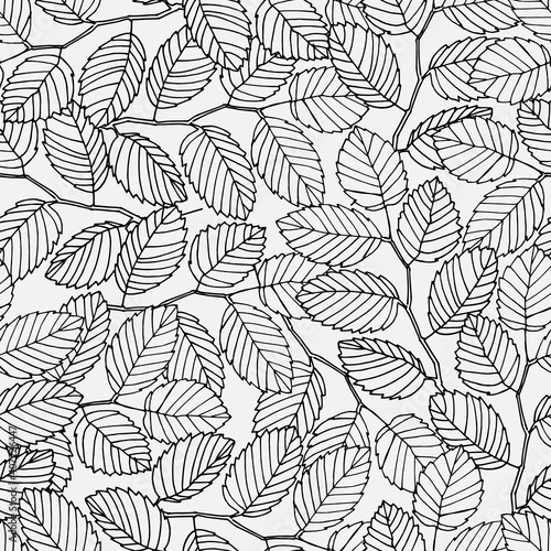 Seamless pattern with elm tree branches and leaves on white background for surface design and other design projects. Monochrome realistic line art