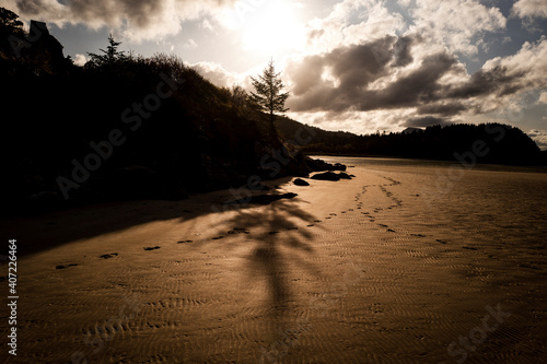 Ards Forest in Irland County Donegal