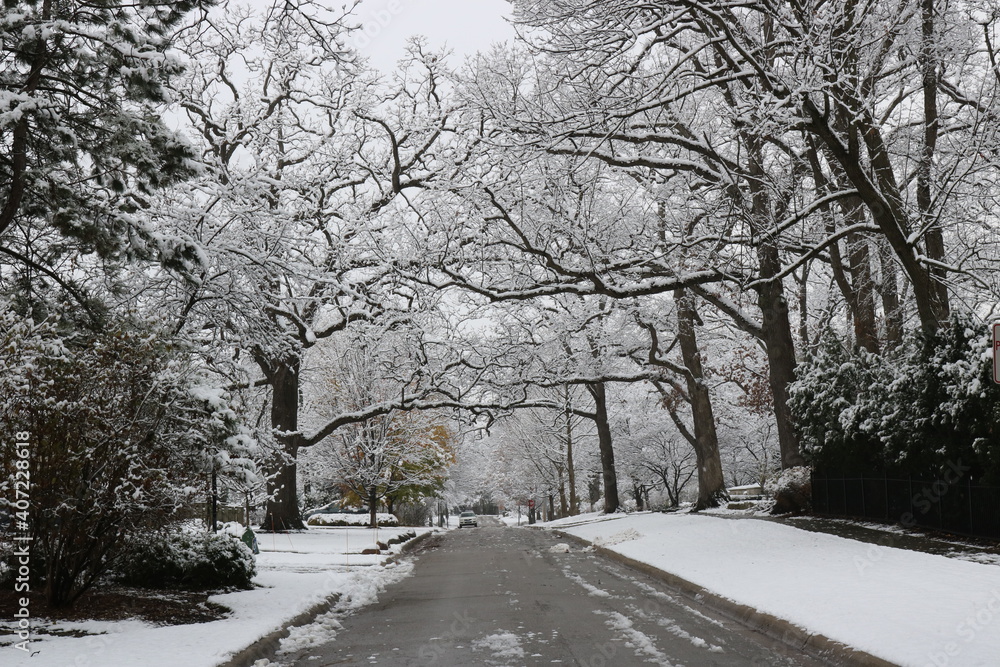 Road with snow Road with snow