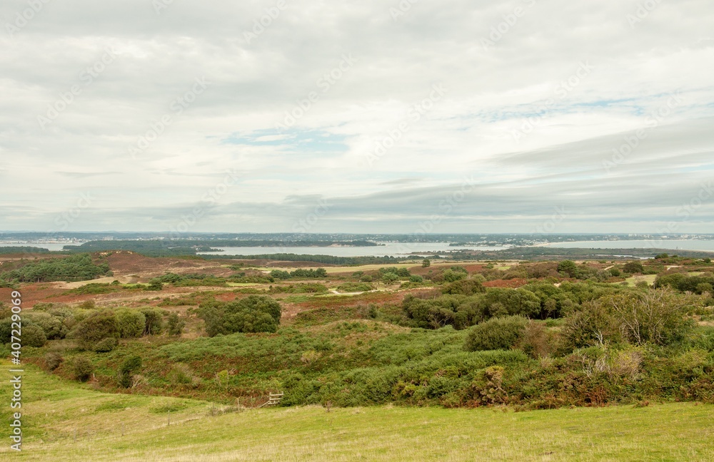 Poole harbour landscape in the summertime.