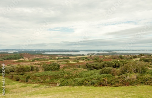 Poole harbour landscape in the summertime.