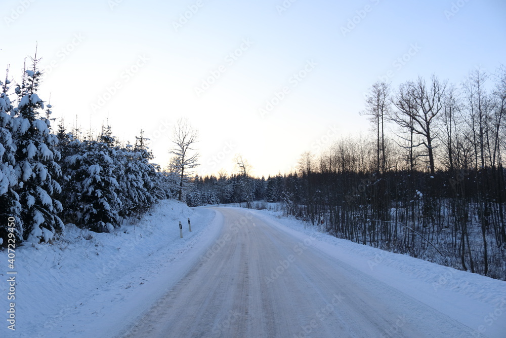 Forest road in winter