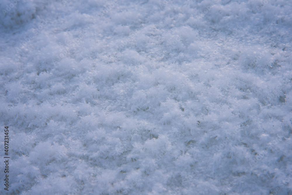 Background, texture of fresh fallen snow. Snowflakes close-up. The winter time of year