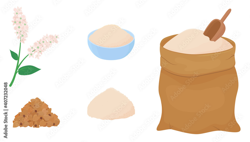 Buckwheat flour in a canvas bag with measuring scoop. Heap of grains and branch of flowering plant isolated on white background. Gluten free food vector illustration in cartoon simple flat style. Buckwheat flour in a canvas bag with measuring scoop. Heap of grains and branch of flowering plant isolated on white background. Gluten free food vector illustration in cartoon simple flat style.