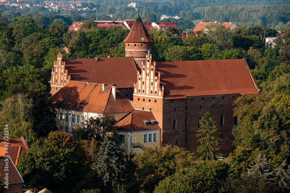 Top view of the medieval gothic castle in Olsztyn against the background of forests and sky