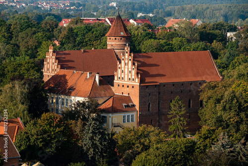Top view of the medieval gothic castle in Olsztyn against the background of forests and sky