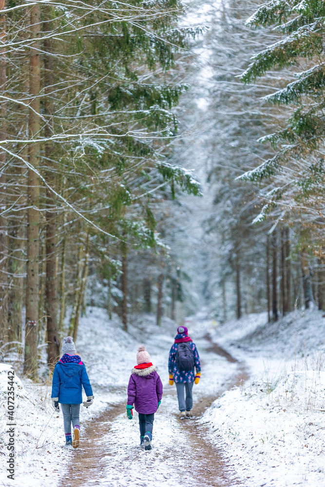 Naklejka premium Mother and children enjoying a walk through the woodland together in winter, Bialowieza Forest, Poland 