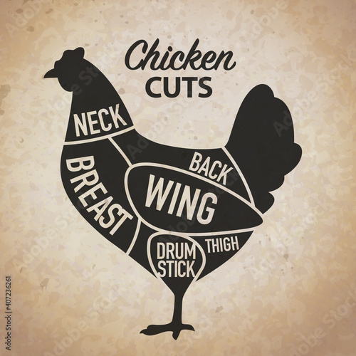 Chicken cuts. Diagrams and scheme for butcher shop. Farm animal - Poultry. Vintage style poster. Vector illustration.