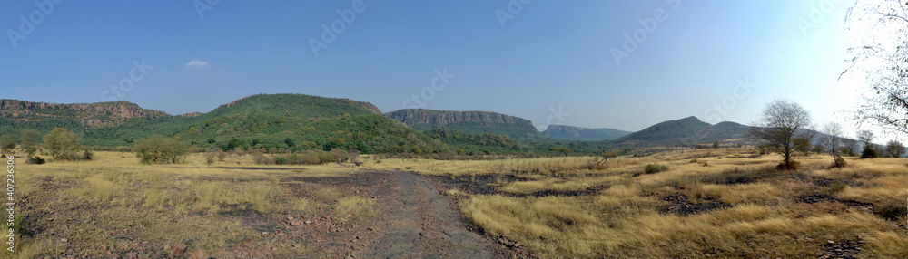 India, Rohtambor nature reserve, landscape
