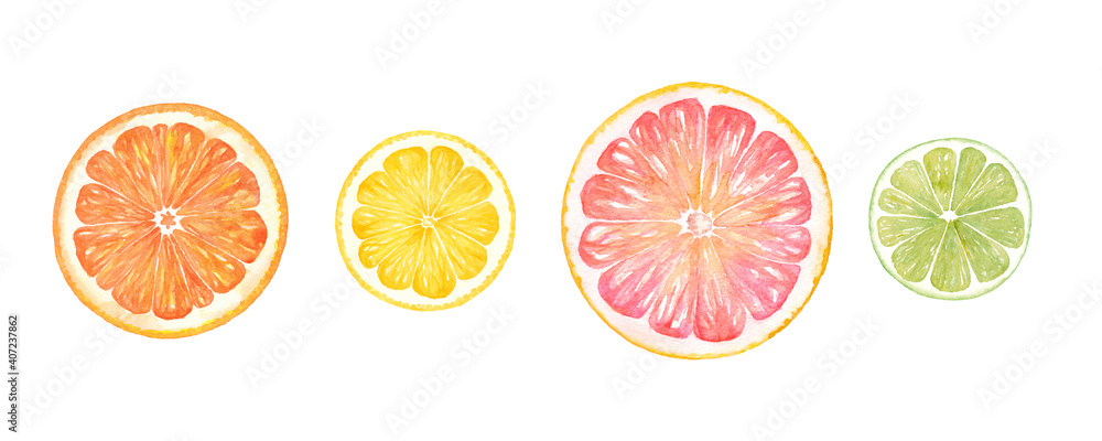シトラスの輪切りの水彩イラスト オレンジ レモン グレープフルーツ ライムのセット 水彩のトレースベクター Stock Vector Adobe Stock シトラスの輪切りの水彩イラスト オレンジ レモン グレープフルーツ ライムのセット 水彩のトレースベクター Stock Vector Adobe Stock