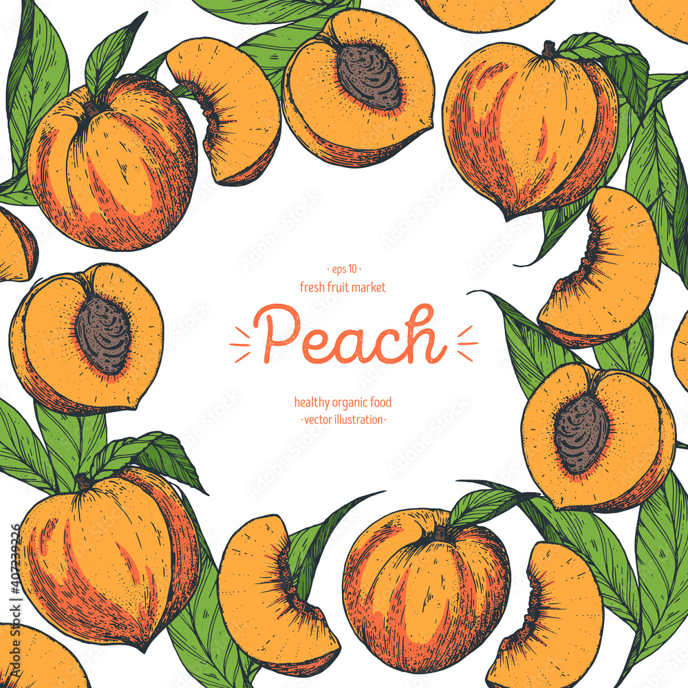 Peach Fruit Frame Hand Drawn Vector Illustration Peach Design