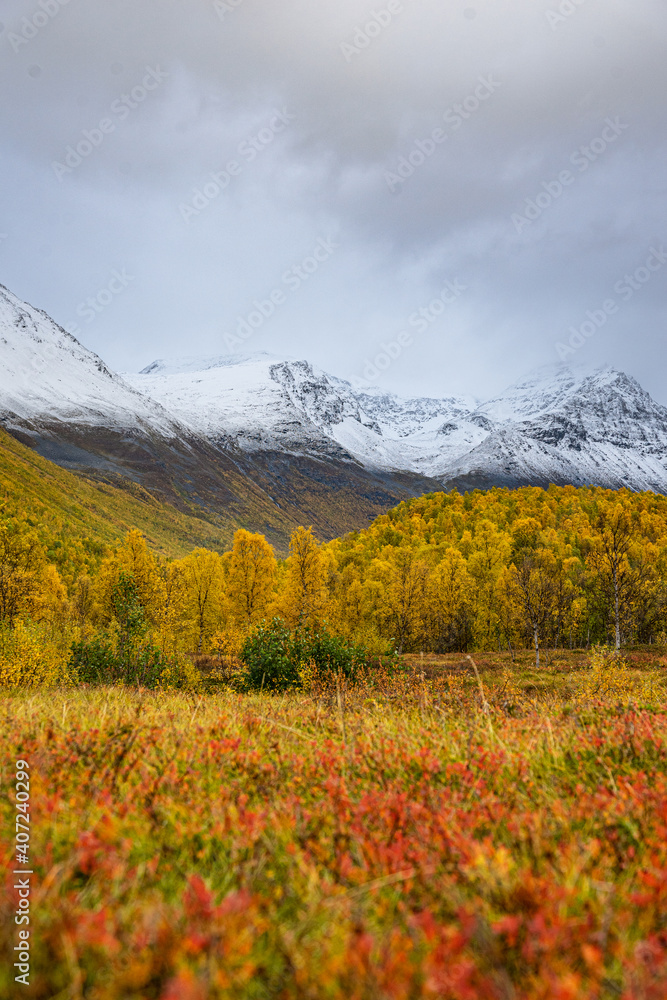 Valley of Kåfjorddalen with snow mountains