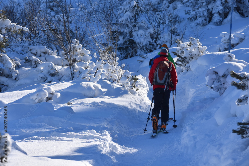 narciarze skiturowi w Tatrach, turyści na szlaku w Dolinie Gąsienicowej, uprawianie sportów zimowych