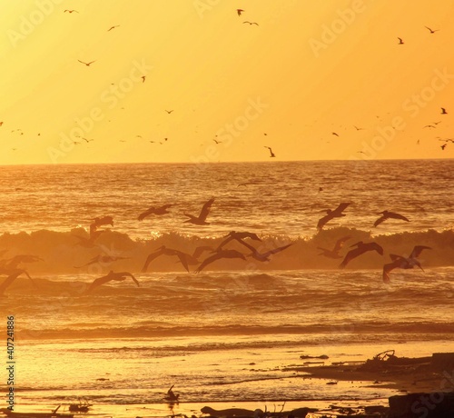 sunset on the beach