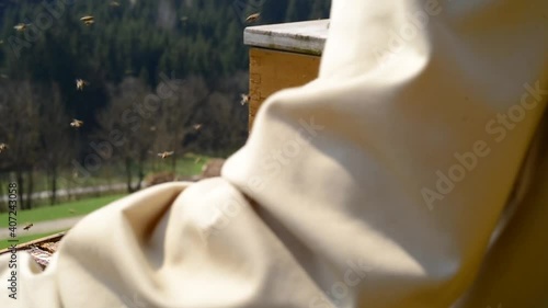 Beekeeper wipes the honey bees from the comb - 1