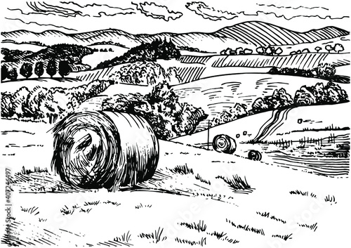 Rural scenery landscape panorama of countryside pastures.  Vector sketch illustration