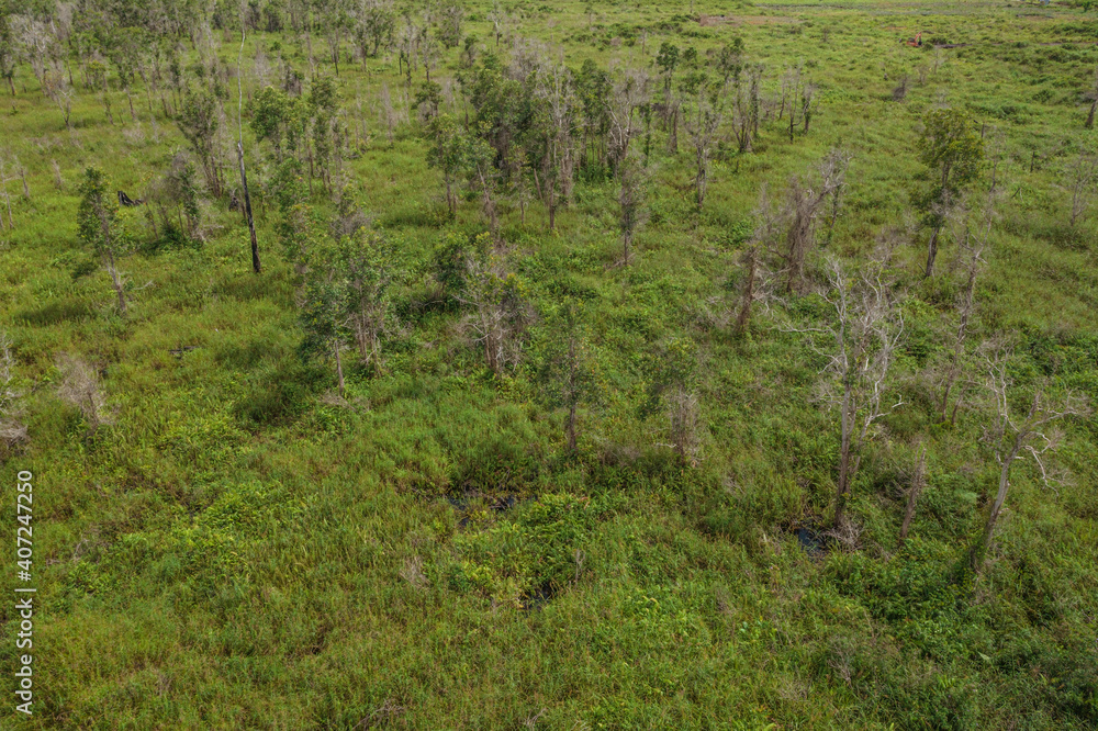 Aerial view of the Borneo rainforest at Klias Forest Reserve, Beaufort Sabah. Aerial view of the Borneo rainforest at Klias Forest Reserve, Beaufort Sabah.