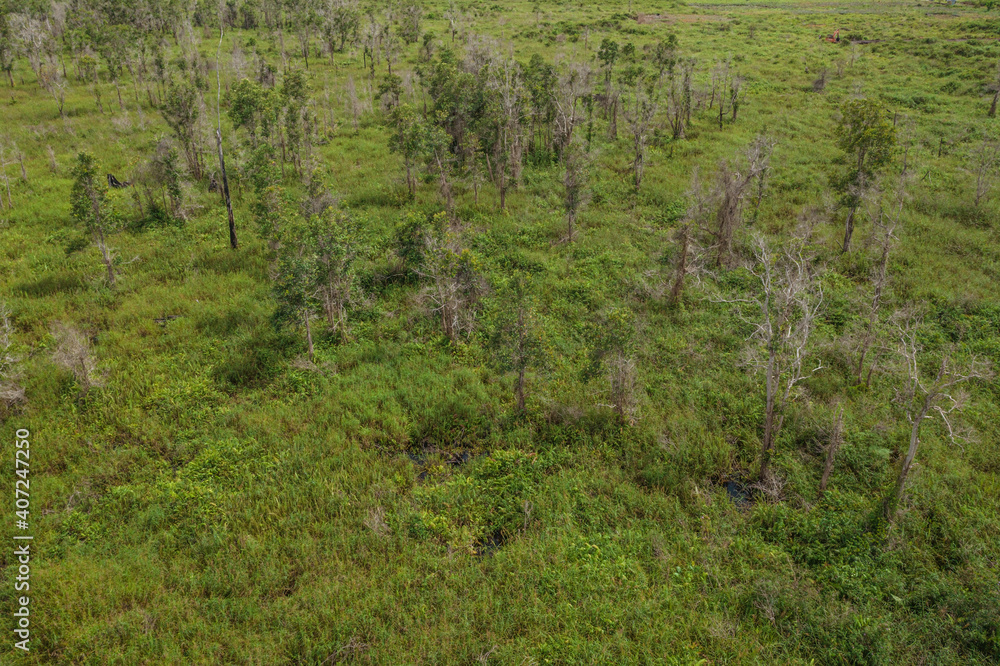 Aerial view of the Borneo rainforest at Klias Forest Reserve, Beaufort Sabah.