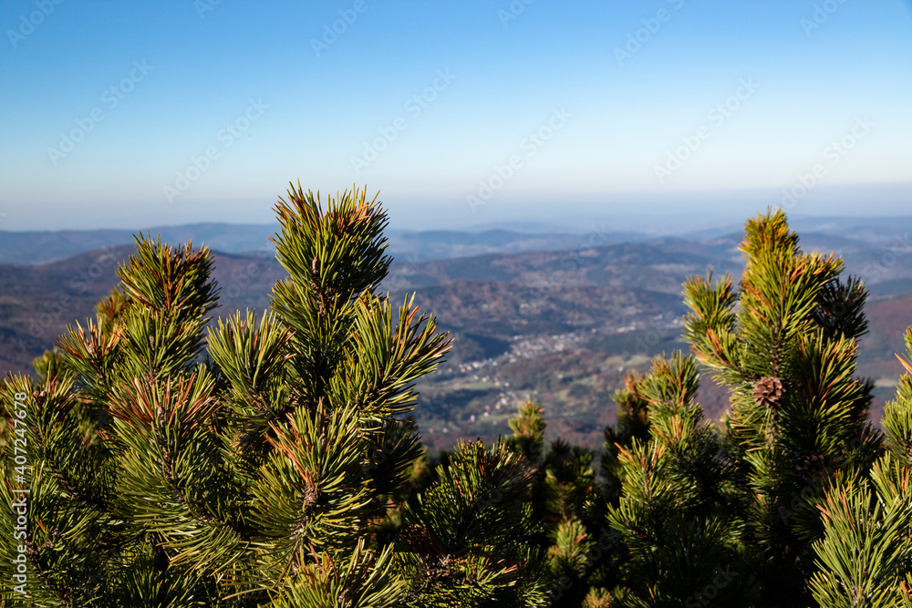 View from Diablak - main peak of Babia Gora - Witches' Mountain, highest peak of Beskids and this part of the Carpathian Mountains, Poland