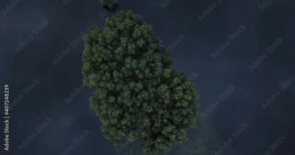 Shaggy Green Treetops In The Middle Blue Calm Lake Near Trimbakeshwar Range In Western Ghats Of India. - Aerial Descending Shot Shaggy Green Treetops In The Middle Blue Calm Lake Near Trimbakeshwar Range In Western Ghats Of India. - Aerial Descending Shot