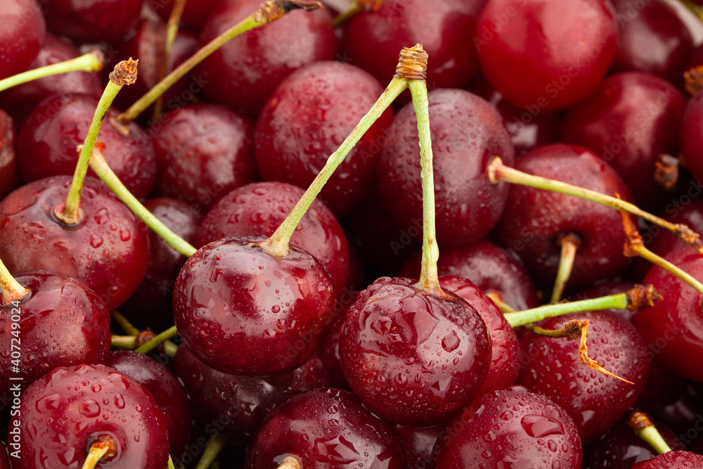 sour cherry macro detail closeup sour cherry macro detail closeup