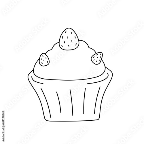 vector cupcake illustration