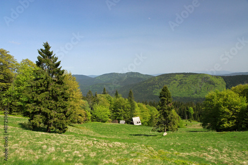 Fototapeta Naklejka Na Ścianę i Meble -  Landscape of Zywiec Beskids, Poland