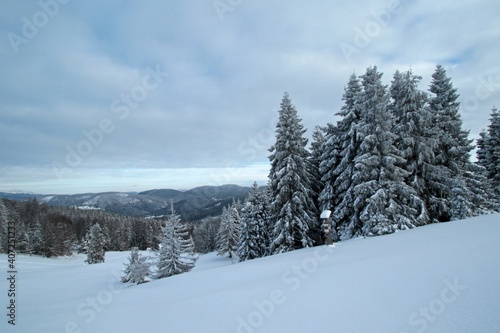 Fototapeta Naklejka Na Ścianę i Meble -  Winter landscape of Zywiec Beskids, near Rysianka peak, Poland