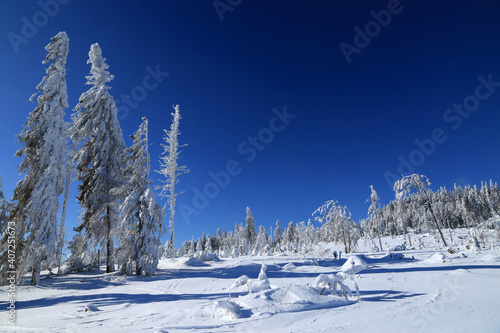 Fototapeta Naklejka Na Ścianę i Meble -  Landscape of Zywiec Beskids in winter, Poland