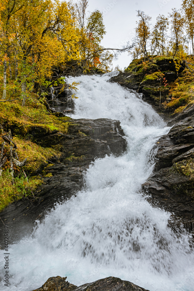 Waterfall with yellwo trees on the side Waterfall with yellwo trees on the side