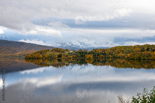 Shore from a lake with trees in the foreground