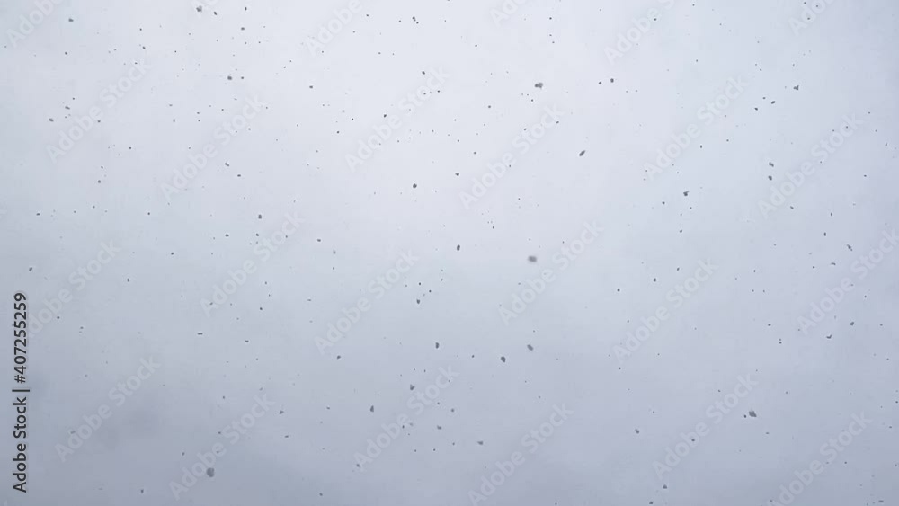 Falling snow Falling snow