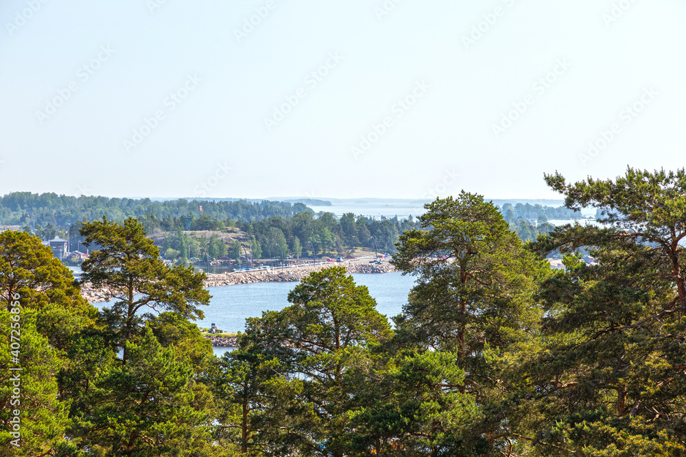 view of the coast of the Gulf of Finland from the hill through the pine trees