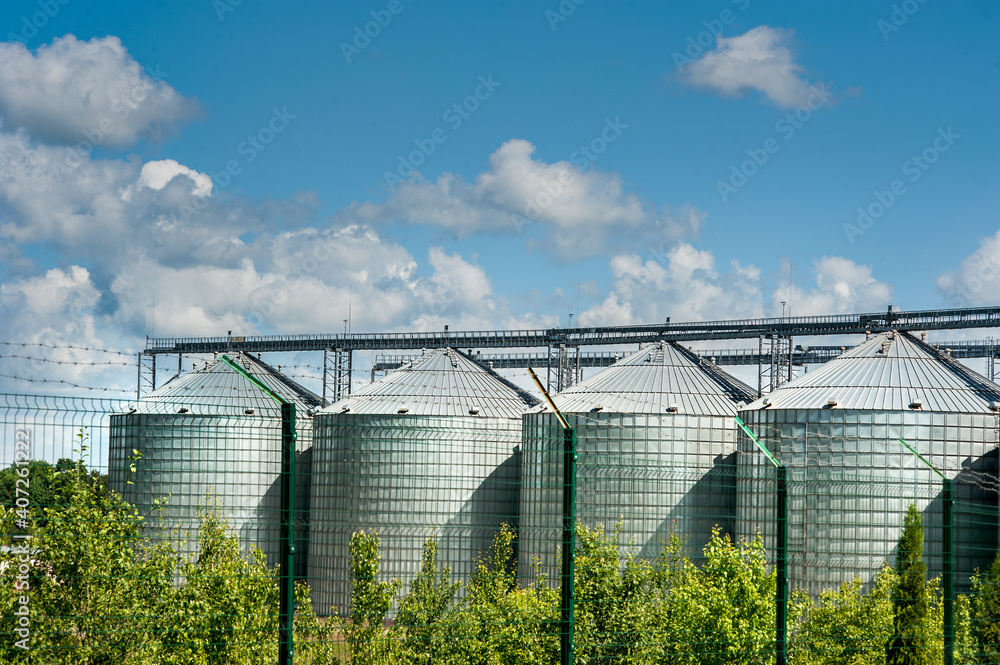 Fototapeta premium storage of cereals, agro granary. Agricultural business.
