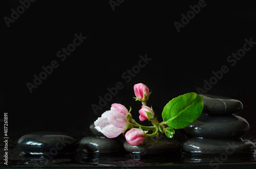 Spa stones and pink flowers on black background with water.