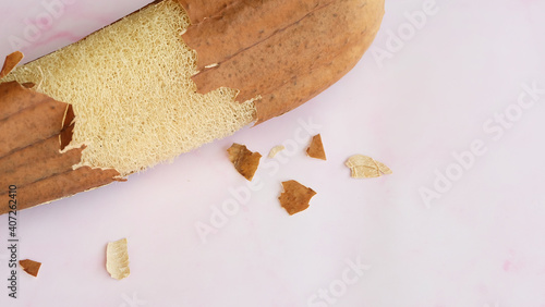 Fotografie A dried luffa plant with the skin peeled away revealing the fibrous loofah inside