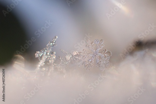 Beautiful winter background with crystalic snowflake photo